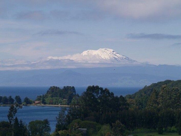 Høy fiskedødelighet forårsaket av en kombinasjon av giftig aluminium og kobber er et problem spesielt i områder i Chile med aktive vulkaner. (Foto: Bjørn Olav Rosseland, NIVA) Høy fiskedødelighet forårsaket av en kombinasjon av giftig aluminium og kobber er et problem spesielt i områder i Chile med aktive vulkaner. (Foto: Bjørn Olav Rosseland, NIVA)