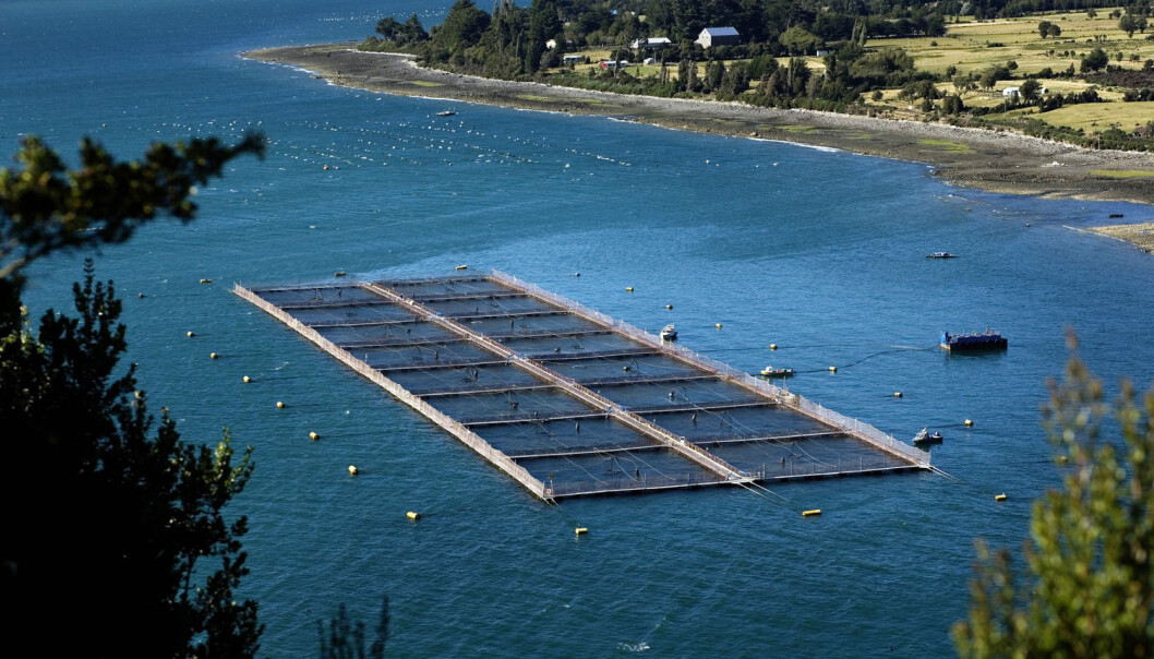 Giftig aluminium og kobber har skapt problemer for oppdrettsnæringen i Chile. Her fra et anlegg i nærheten av Puerto Montt, sør i landet. (Illustrasjonsfoto: NTB Scanpix) Giftig aluminium og kobber har skapt problemer for oppdrettsnæringen i Chile. Her fra et anlegg i nærheten av Puerto Montt, sør i landet. (Illustrasjonsfoto: NTB Scanpix)