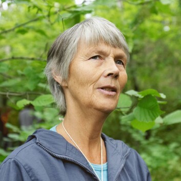Eline Benestad Hågvar. (Foto: NMBU) Eline Benestad Hågvar. (Foto: NMBU)