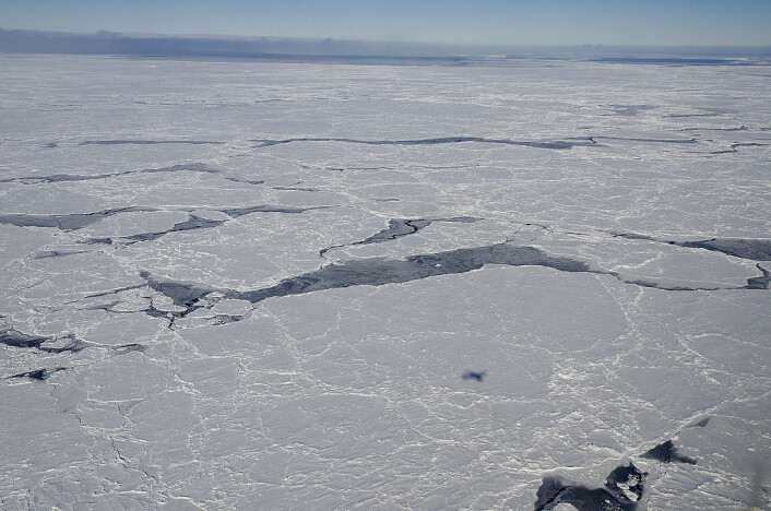 Sjøisen i Bellinghausenhavet i Antarktis. Undersøkelsene ble blant annet gjort i dette havet. (Foto: NASA) Sjøisen i Bellinghausenhavet i Antarktis. Undersøkelsene ble blant annet gjort i dette havet. (Foto: NASA)