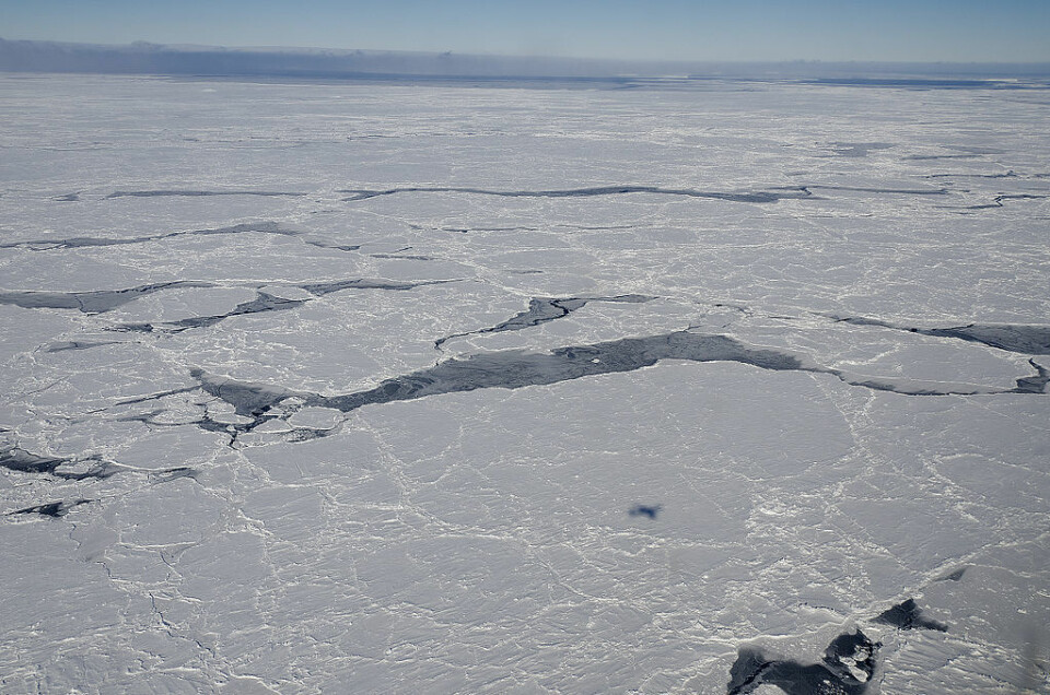 Sjøisen i Bellinghausenhavet i Antarktis. Undersøkelsene ble blant annet gjort i dette havet. (Foto: NASA)