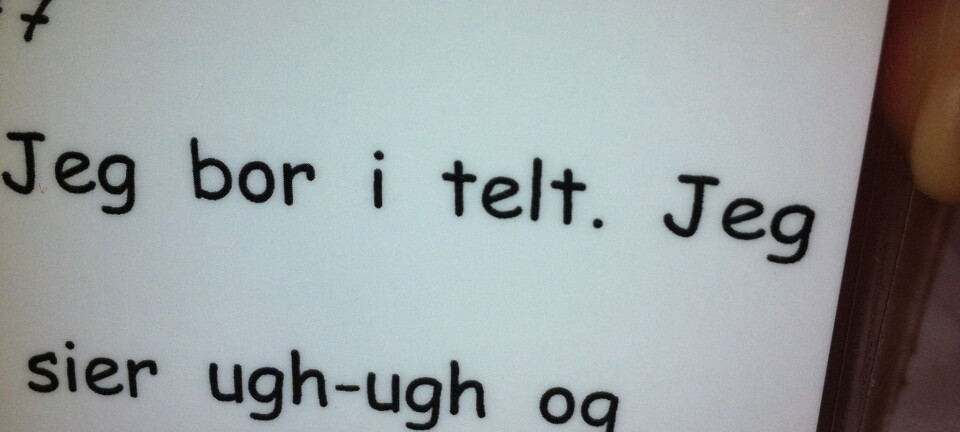 Hva forskere (ikke) ser