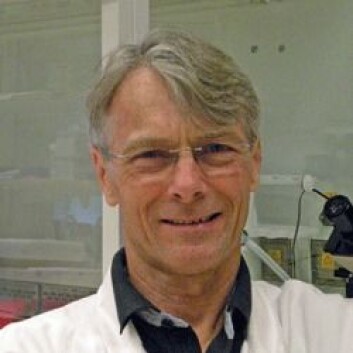 Professor Dag Jenssen vil forske mer på hvordan akrylamid og kreft henger sammen. (Foto: Stockholms universitet) Professor Dag Jenssen vil forske mer på hvordan akrylamid og kreft henger sammen. (Foto: Stockholms universitet)