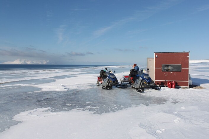 Forskere fra flere ulike fagfelt har fått muligheten til å undersøke konsekvensene av den unike værsituasjonen på Svalbard vinteren 2012. (Foto: Brage Bremset Hansen) Forskere fra flere ulike fagfelt har fått muligheten til å undersøke konsekvensene av den unike værsituasjonen på Svalbard vinteren 2012. (Foto: Brage Bremset Hansen)
