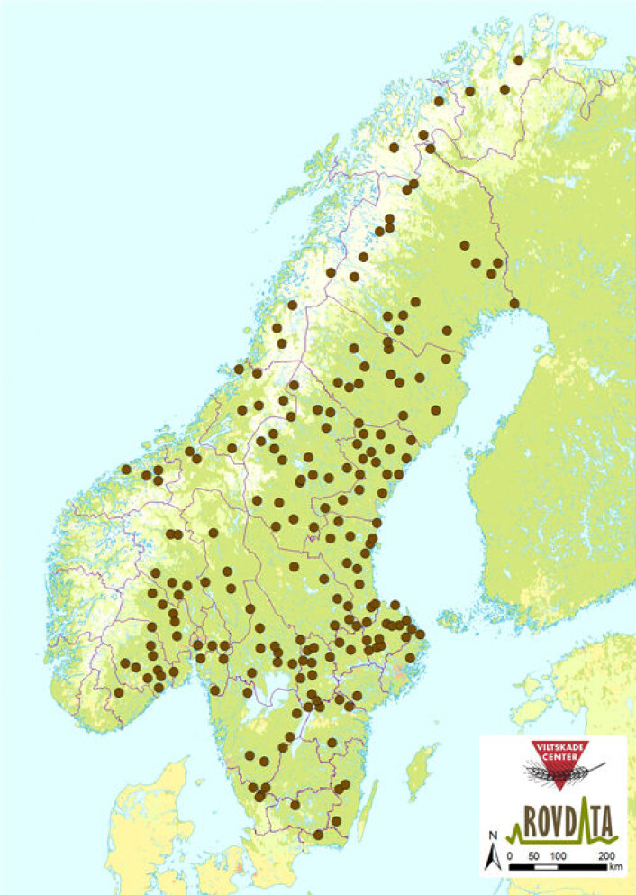 Kartet viser familiegrupper av gaupe som er registrert i Norge og Sverige vinteren 2013-2014. (Foto: (Kart: Rovdata)) Kartet viser familiegrupper av gaupe som er registrert i Norge og Sverige vinteren 2013-2014. (Foto: (Kart: Rovdata))