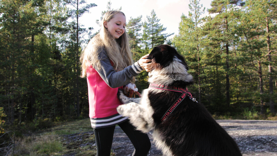 Vilde Christine Tunheim koser med Norges søteste hund, Tapper, som mest sannsynlig også er Norges mest matglade hund.  (Foto: Eva Beate Strømsted)