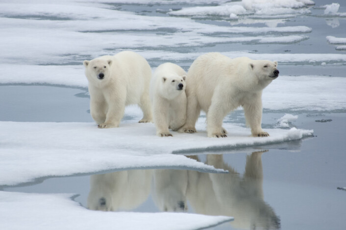 Klimaendringene er reelle, påpeker Victor. (Foto: Microstock) Klimaendringene er reelle, påpeker Victor. (Foto: Microstock)