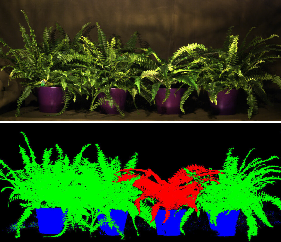 Øverst: Bilde av planter tatt med vanlig kamera. Nederst: Et bilde tatt med hyperspektralt kamera er analysert med data, og forskjellen mellom de ekte (grønne) og den kunstige (røde) planten er framhevet. (Foto: (Bilde: Torbjørn Skauli, FFI))