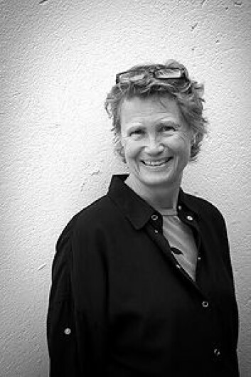 Reiselivsforsker Birgitta Ericsson i Østlandsforskning. (Foto: Fotograf Katrine) Reiselivsforsker Birgitta Ericsson i Østlandsforskning. (Foto: Fotograf Katrine)