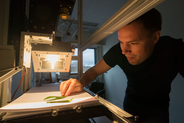 Hallvard Skjerping fra Norsk Elektro Optikk med ett av de hyperspektrale kameraene som firmaet produserer. Biologisk materiale, som blader, er ett eksempel på materialer som kan studeres med det fargefølsomme kameraet. (Foto: Arnfinn Christensen, forskning.no) Hallvard Skjerping fra Norsk Elektro Optikk med ett av de hyperspektrale kameraene som firmaet produserer. Biologisk materiale, som blader, er ett eksempel på materialer som kan studeres med det fargefølsomme kameraet. (Foto: Arnfinn Christensen, forskning.no)