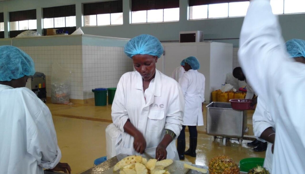 Dette trengs det mer av: Department of Food Science and Technology i Uganda har i dag utstyr og maskiner av samme kvalitet som ved flere forskningsinstitusjoner i Europa. (Foto: Department of Food Science and Technology) Dette trengs det mer av: Department of Food Science and Technology i Uganda har i dag utstyr og maskiner av samme kvalitet som ved flere forskningsinstitusjoner i Europa. (Foto: Department of Food Science and Technology)