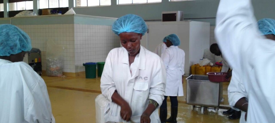 Dette trengs det mer av: Department of Food Science and Technology i Uganda har i dag utstyr og maskiner av samme kvalitet som ved flere forskningsinstitusjoner i Europa. (Foto: Department of Food Science and Technology)