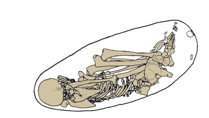 Ei teikning som viser korleis fossilet låg då det vart funne. (Foto: Philip Nigst, University of Cambridge) Ei teikning som viser korleis fossilet låg då det vart funne. (Foto: Philip Nigst, University of Cambridge)