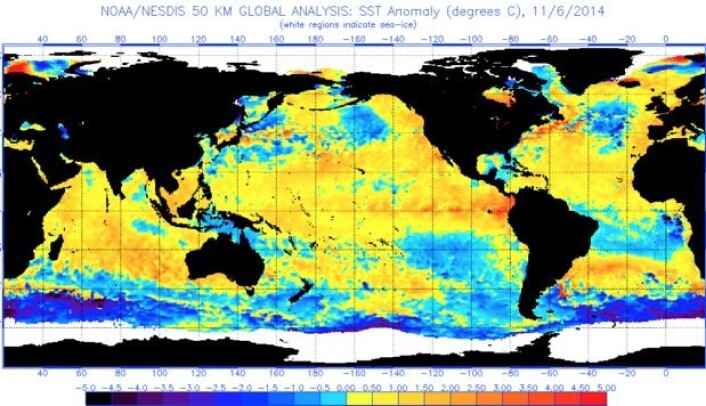 Mye varmt vann i havoverflaten nå. Husk at denne projeksjonen lyver grovt når det gjelder arealet ved ekvator kontra ved polene. (Bilde: NOAA) Mye varmt vann i havoverflaten nå. Husk at denne projeksjonen lyver grovt når det gjelder arealet ved ekvator kontra ved polene. (Bilde: NOAA)