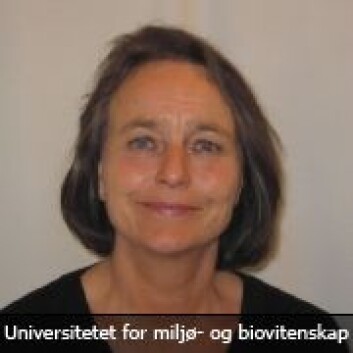 Brit Salbu, professor ved NMBU. (Foto: NMBU) Brit Salbu, professor ved NMBU. (Foto: NMBU)