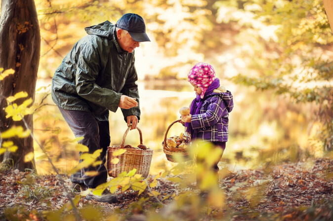 Sjekk deg for flått når du går på soppjakt i skogen. (Foto: Saveliev Dmytro / Shutterstock / NTB scanpix) Sjekk deg for flått når du går på soppjakt i skogen. (Foto: Saveliev Dmytro / Shutterstock / NTB scanpix)