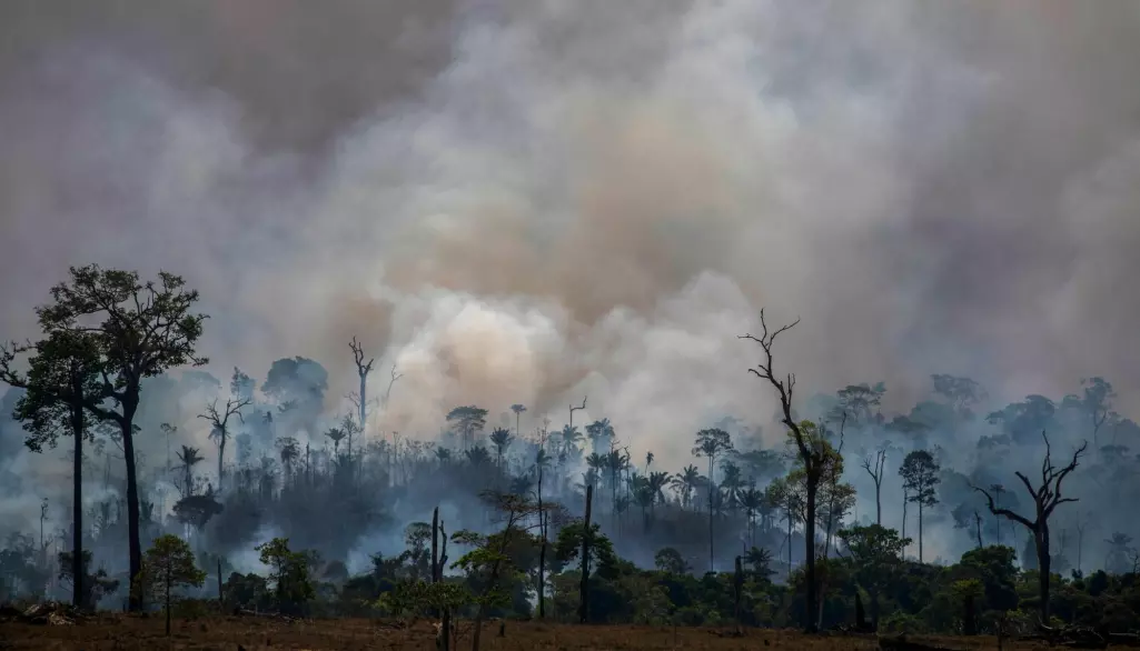 Røyk steg fra skogbranner i Altamira, Pará 27. august. (Foto: Joao Laet / AFP/ NTB Scanpix).
