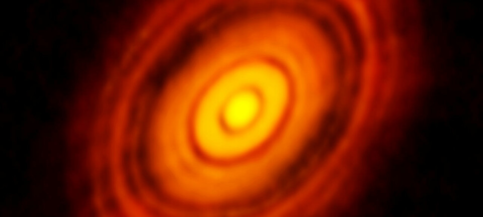 Det nye bildet avdekker detaljer som aldri tidligere er sett i en planetdannende skive omkring en ung stjerne. (Foto: ALMA/ESO/NAOJ/NRAO)