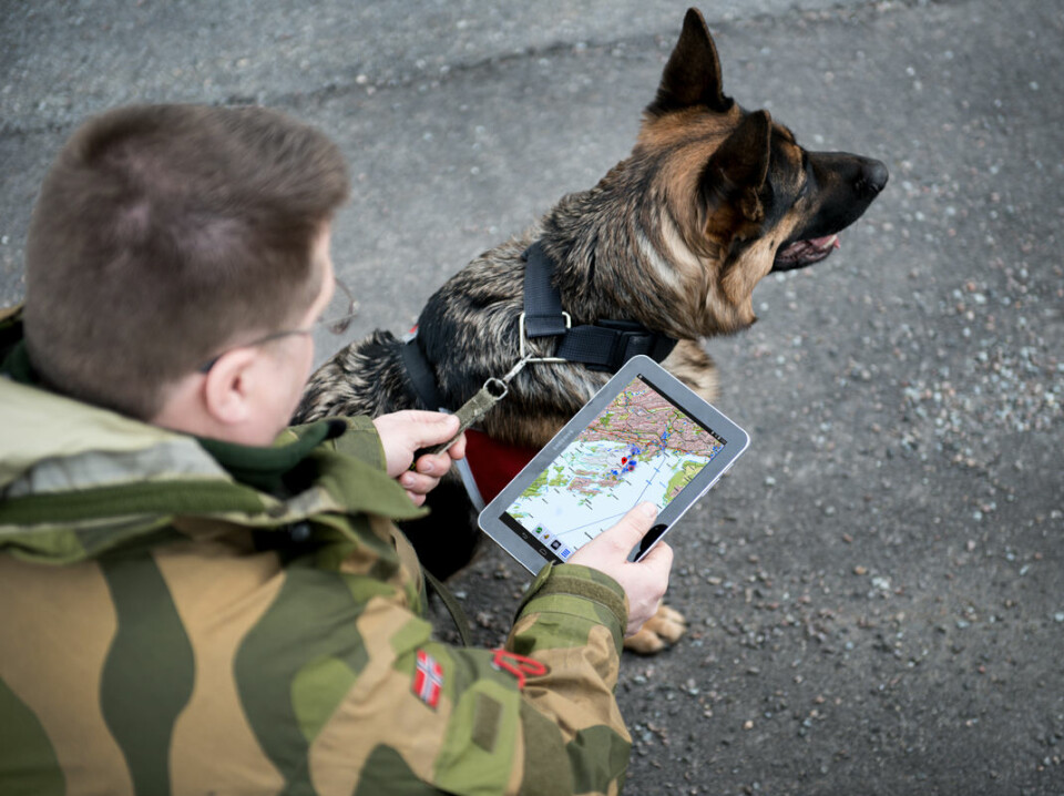 Nettbrett og mobiltelefoner gjør det mulig å ta med opplæringsmateriell ut i felten. Her bruker en hundetrener i Heimvernet en app som er utviklet i en tidlig fase av prosjektet til Jackbo Gran og Bergh. (Foto: FFI)