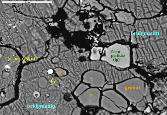 Elektronmikroskop-bilde av mineralselskapet i bergarten peridotitt ved 25 gigapascal trykk. Bildet viser et utsnitt av et eksperimentelt produkt. Den hvite skala-linjalen er 20 mikrometer lang. Elektronmikroskop-bilde av mineralselskapet i bergarten peridotitt ved 25 gigapascal trykk. Bildet viser et utsnitt av et eksperimentelt produkt. Den hvite skala-linjalen er 20 mikrometer lang.