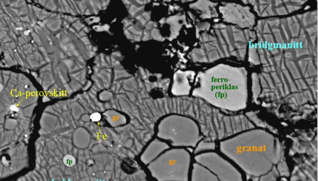 Jordas mest utbredte mineral har fått navn: bridgmanitt