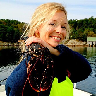 Tonje Knutsen Sørdalen har dokumentert at store hummere er viktige for bestanden, og det førte til maksimalmål og sterkere vern. (Foto: Kim Halvorsen, Havforskningsinstituttet) Tonje Knutsen Sørdalen har dokumentert at store hummere er viktige for bestanden, og det førte til maksimalmål og sterkere vern. (Foto: Kim Halvorsen, Havforskningsinstituttet)