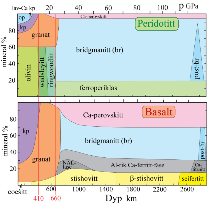 Figur 2. Innholdet av ulike mineraler (volum%) i bergartene peridotitt (dominerende) og basalt som en funksjon av dypet og trykket nedover i mantelen (videreutviklet fra f.eks. Trønnes, 2010). Den kjemiske sammensetningen til hvert av mineralene i mantelen varierer noe, men Mg/Fe-forholdet er omtrent 9. I formlene nedenfor brukes bokstaven M for Mg Fe. Olivin, wadsleyitt (14-18 GPa) og ringwooditt (18-24 GPa) har alle sammensetning M2SiO4. Pyroksenmineralene omfatter en ortopyroksen MSiO3 (op) og klinopyroksen CaMSi2O6 (kp). Granat-sammensetningen i den øvre mantelen er omtrent M3Al2Si3O12, men sammensetningen endres når pyroksenmineralene tas opp i fast løsning i granaten i overgangssonen. Mineralene bridgmanitt og post-bridgmanitt har begge grunnsammensetningen MSiO3, men kan i tillegg inneholde betydelige mengder Al og treverdig Fe. Ca-perovskitt og ferroperiklas er hhv. CaSiO3 og MO. De Al-rike basaltiske mineralene NAL, Ca-ferritt og Ca-titanitt har tilnærmet lik kjemi som ligger nær sammensetningsaksen mellom MgAl2O4 og NaAlSiO4. Coesitt, stishovitt, -stishovitt og seifertitt er silika(SiO2)-dominerte mineraler, men -stishovitt og seifertitt inneholder i tillegg hhv. 3-4 % og 13-14 % Al2O3. Artikkelen til Solbu (2014) gir et feilaktig inntrykk av at olivin og bridgmanitt ("perovskitt") har lik støkiometri. Figur 2. Innholdet av ulike mineraler (volum%) i bergartene peridotitt (dominerende) og basalt som en funksjon av dypet og trykket nedover i mantelen (videreutviklet fra f.eks. Trønnes, 2010). Den kjemiske sammensetningen til hvert av mineralene i mantelen varierer noe, men Mg/Fe-forholdet er omtrent 9. I formlene nedenfor brukes bokstaven M for Mg Fe. Olivin, wadsleyitt (14-18 GPa) og ringwooditt (18-24 GPa) har alle sammensetning M2SiO4. Pyroksenmineralene omfatter en ortopyroksen MSiO3 (op) og klinopyroksen CaMSi2O6 (kp). Granat-sammensetningen i den øvre mantelen er omtrent M3Al2Si3O12, men sammensetningen endres når pyroksenmineralene tas opp i fast løsning i granaten i overgangssonen. Mineralene bridgmanitt og post-bridgmanitt har begge grunnsammensetningen MSiO3, men kan i tillegg inneholde betydelige mengder Al og treverdig Fe. Ca-perovskitt og ferroperiklas er hhv. CaSiO3 og MO. De Al-rike basaltiske mineralene NAL, Ca-ferritt og Ca-titanitt har tilnærmet lik kjemi som ligger nær sammensetningsaksen mellom MgAl2O4 og NaAlSiO4. Coesitt, stishovitt, -stishovitt og seifertitt er silika(SiO2)-dominerte mineraler, men -stishovitt og seifertitt inneholder i tillegg hhv. 3-4 % og 13-14 % Al2O3. Artikkelen til Solbu (2014) gir et feilaktig inntrykk av at olivin og bridgmanitt ("perovskitt") har lik støkiometri.