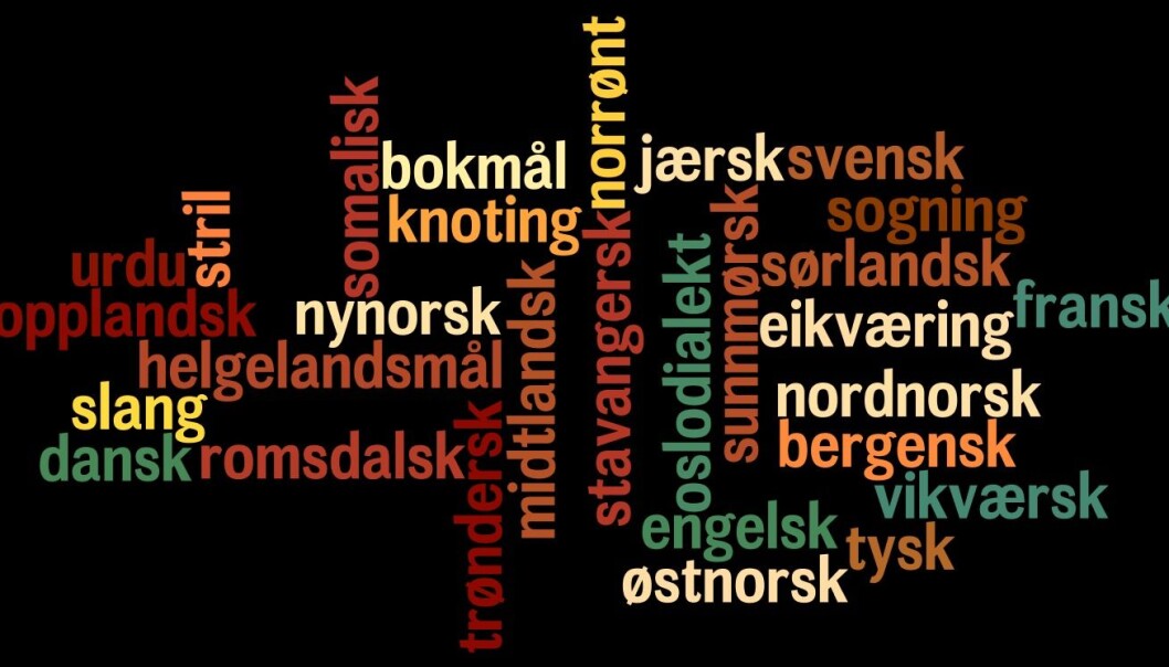 Forskerne vet mye om den historiske utviklingen fra dansk og tysk, men ikke så mye om hvilke nye ord som kommer inn i norsk gjennom sosiale medier og i møter mellom mennesker med ulike språk. (Illustrasjon: forskning.no) Forskerne vet mye om den historiske utviklingen fra dansk og tysk, men ikke så mye om hvilke nye ord som kommer inn i norsk gjennom sosiale medier og i møter mellom mennesker med ulike språk. (Illustrasjon: forskning.no)