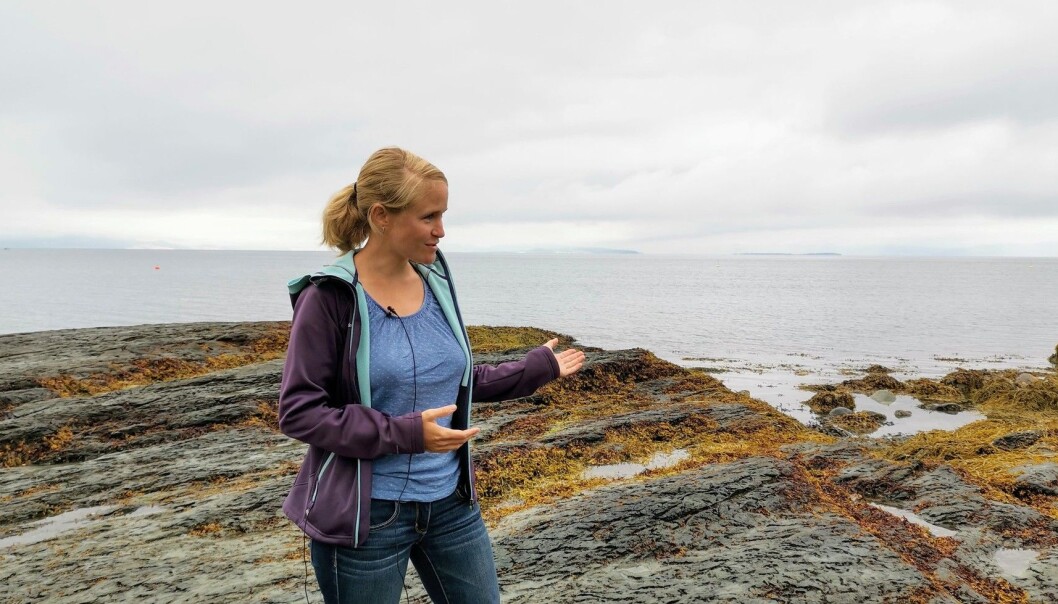 - Jeg tror grønn innovasjon blir et konkurransefortrinn for bedriftene fremover, sier Verones. (Foto: NTNU/Maren Agdestein) - Jeg tror grønn innovasjon blir et konkurransefortrinn for bedriftene fremover, sier Verones. (Foto: NTNU/Maren Agdestein)