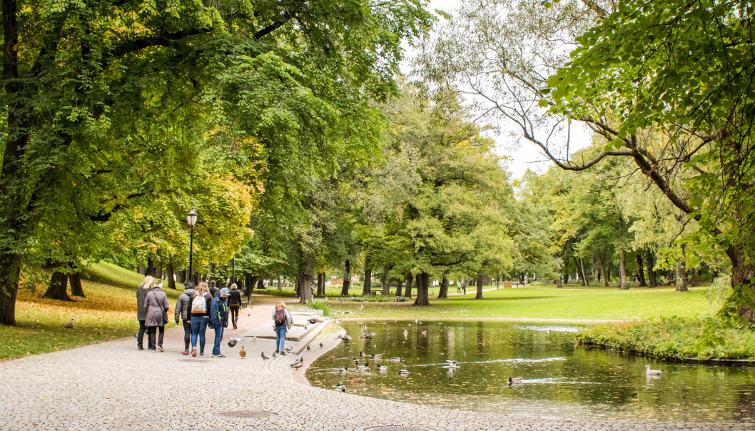 Mye forskning peker mot at grønne områder har positiv innvirkning på helsa. Men det er ikke helt klart hvorfor. (Foto: Antonio Coppola / Shutterstock / NTB scanpix) Mye forskning peker mot at grønne områder har positiv innvirkning på helsa. Men det er ikke helt klart hvorfor. (Foto: Antonio Coppola / Shutterstock / NTB scanpix)