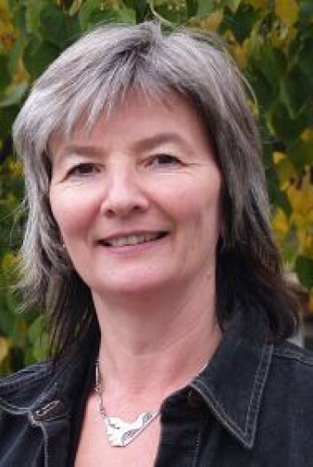 Professor Ingrid Guldvik har blant annet forsket på hvorfor menn stadig topper flertallet av partienes valglister, kommunalt og nasjonalt. (Foto: HiL) Professor Ingrid Guldvik har blant annet forsket på hvorfor menn stadig topper flertallet av partienes valglister, kommunalt og nasjonalt. (Foto: HiL)
