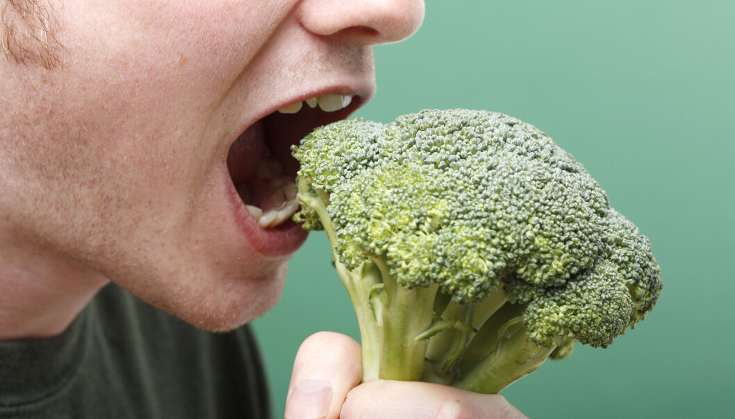 Danske, unge menn unngår grove grønnsaker som brokkoli. (Foto: Microstock) Danske, unge menn unngår grove grønnsaker som brokkoli. (Foto: Microstock)