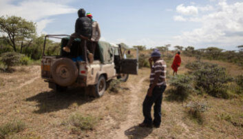 The African wild dog project crew out on the job. (Photo: Per Harald Olsen, NTNU) The African wild dog project crew out on the job. (Photo: Per Harald Olsen, NTNU)