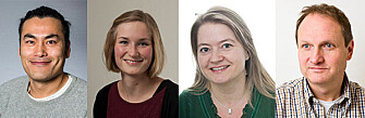 The Researchers at the University of Oslo, from the left: Evandro Fei Fang, Sofie H. Lautrup, Hilde Loge Nilsen and Tormod Fladby. (Photo: UiO) The Researchers at the University of Oslo, from the left: Evandro Fei Fang, Sofie H. Lautrup, Hilde Loge Nilsen and Tormod Fladby. (Photo: UiO)