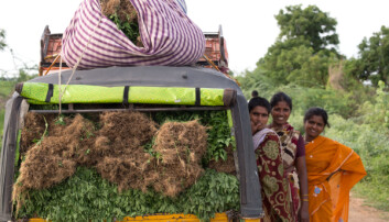 According to FAO, closing the gender gap could increase yields on smallholder farms by 20-30 percent, lifting 100-150 million people out of hunger. (Photo: Ragnar Våga Pedersen) According to FAO, closing the gender gap could increase yields on smallholder farms by 20-30 percent, lifting 100-150 million people out of hunger. (Photo: Ragnar Våga Pedersen)