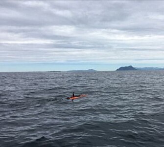 The smart autonomous underwater vehicle on its hunt for phytoplankton patches. (Photo: Trygve Fossum, NTNU) The smart autonomous underwater vehicle on its hunt for phytoplankton patches. (Photo: Trygve Fossum, NTNU)
