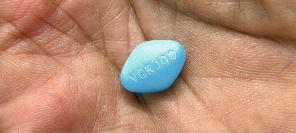 Viagra var det første legemidlet av sitt slag. Bivirkningene ved bruk av Viagra er forskjellige fra person til person, men de vanligste er hodepine, svimmelhet og rødming. (Foto: Science Photo Library)