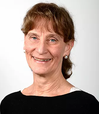 Anne G. Ekeland, senior researcher. (Photo: Norwegian Centre for E-health Research)
