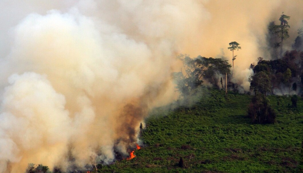 Tett røyk stiger opp fra brennende torvmyrer i Riau-provinsen i Indonesia tidligere i år. (Foto: NTB Scanpix) Tett røyk stiger opp fra brennende torvmyrer i Riau-provinsen i Indonesia tidligere i år. (Foto: NTB Scanpix)