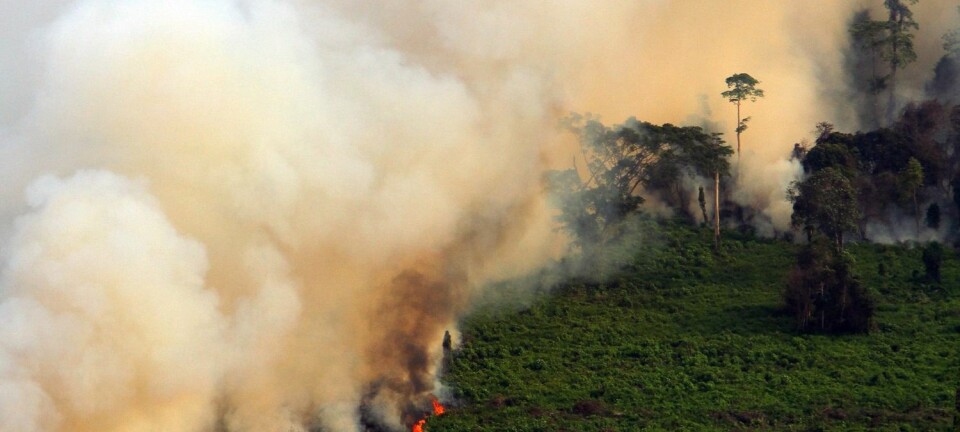 Tett røyk stiger opp fra brennende torvmyrer i Riau-provinsen i Indonesia tidligere i år. (Foto: NTB Scanpix)