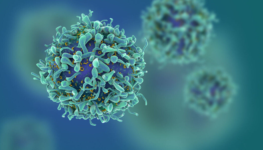 New study shows that people affected with coeliac disease have unique immune cells which attack gluten. The same type of cells have been found in elevated numbers in the blood of patients with other autoimmune diseases. (Illustration: fusebulb / Shutterstock / NTB scanpix) New study shows that people affected with coeliac disease have unique immune cells which attack gluten. The same type of cells have been found in elevated numbers in the blood of patients with other autoimmune diseases. (Illustration: fusebulb / Shutterstock / NTB scanpix)