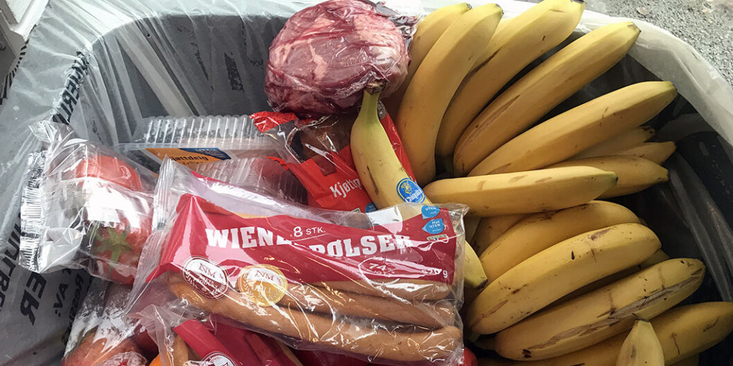 A lot of perfectly good food gets tossed in the trash. A digital solution could help reduce food waste. (Photo: Idun Haugan) A lot of perfectly good food gets tossed in the trash. A digital solution could help reduce food waste. (Photo: Idun Haugan)