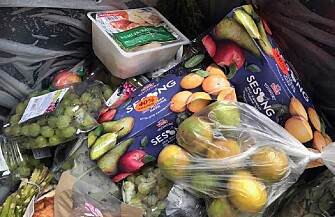 Food doesn’t have to be discarded when it passes the best-before date in Norway, but store owners find that customers are reluctant to buy this food. In this photo, food has been thrown out at a store in the Trondheim area. (Photo: Idun Haugan) Food doesn’t have to be discarded when it passes the best-before date in Norway, but store owners find that customers are reluctant to buy this food. In this photo, food has been thrown out at a store in the Trondheim area. (Photo: Idun Haugan)