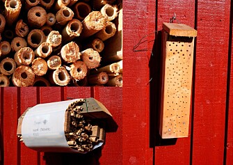 Bee hotels can be constructed many different ways. (All photos: Frode Ødegaard, NTNU) Bee hotels can be constructed many different ways. (All photos: Frode Ødegaard, NTNU)
