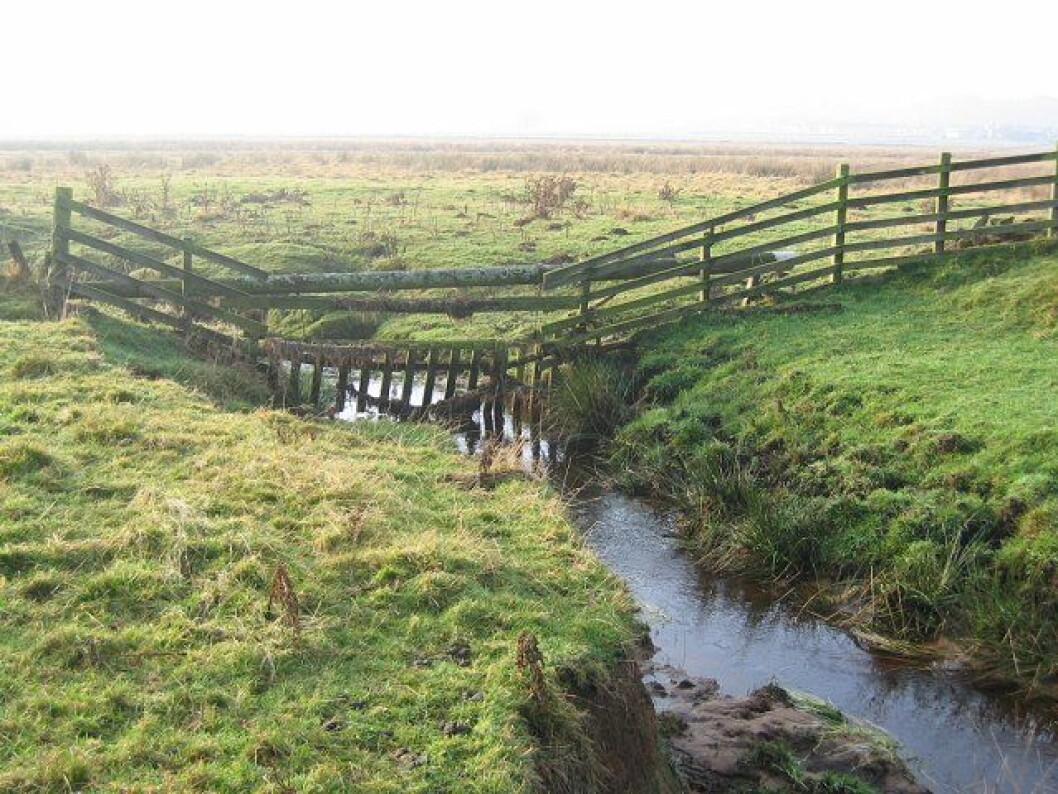 Researchers from NIVA have studied how much of the land-derived organic matter are being transformed to CO2 by bacteria in two streams in Northeast Scotland, including here in Cairn Burn. (Photo: Richard Webb / Cairn Burn) Researchers from NIVA have studied how much of the land-derived organic matter are being transformed to CO2 by bacteria in two streams in Northeast Scotland, including here in Cairn Burn. (Photo: Richard Webb / Cairn Burn)