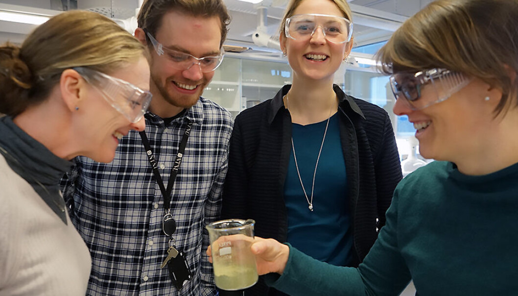 NTNU researchers Fride Vullum-Bruer, Andreas Nicolai Norberg, Kristin Lønsethagen and Susanne Jäschke are working to establish a prototype from algae materials that industry can bring to mass production. (Photo: Mona Sprenger) NTNU researchers Fride Vullum-Bruer, Andreas Nicolai Norberg, Kristin Lønsethagen and Susanne Jäschke are working to establish a prototype from algae materials that industry can bring to mass production. (Photo: Mona Sprenger)