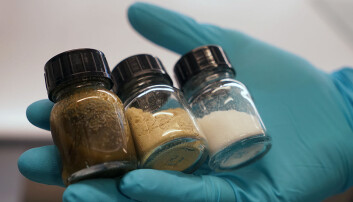 NTNU researchers are hoping that the jars’ contents hold the future for Norway’s green battery efforts. (Photo: Mona Sprenger) NTNU researchers are hoping that the jars’ contents hold the future for Norway’s green battery efforts. (Photo: Mona Sprenger)