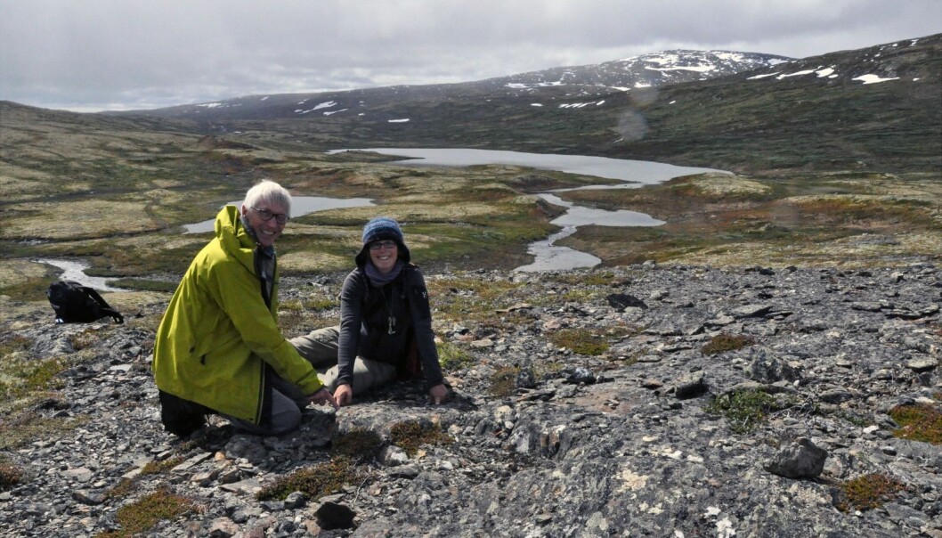 Forskerne Deta Gasser og Tor Grenne peker på grensen mellom det vulkanske og det sedimentære området i Trondheimsfeltet. Arbeidet handler om å få en bedre forståelse av geologien i malmrike områder i Trøndelag. (Foto: Gudmund Løvø, NGU) Forskerne Deta Gasser og Tor Grenne peker på grensen mellom det vulkanske og det sedimentære området i Trondheimsfeltet. Arbeidet handler om å få en bedre forståelse av geologien i malmrike områder i Trøndelag. (Foto: Gudmund Løvø, NGU)