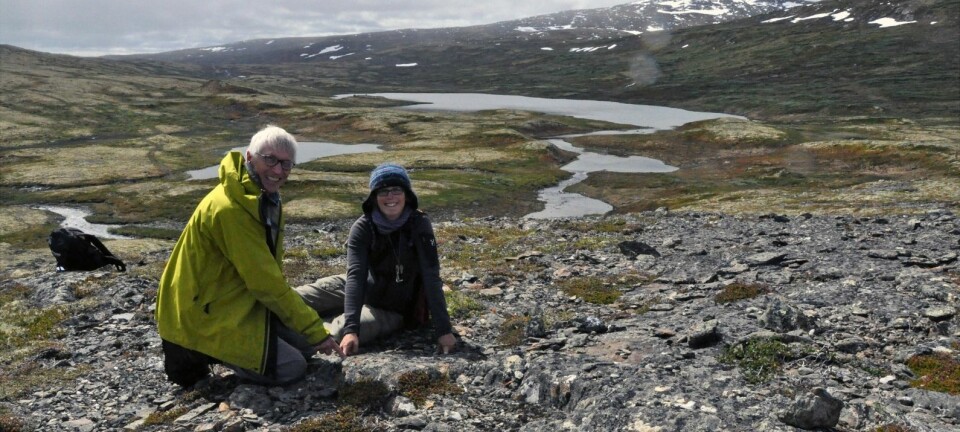 Forskerne Deta Gasser og Tor Grenne peker på grensen mellom det vulkanske og det sedimentære området i Trondheimsfeltet. Arbeidet handler om å få en bedre forståelse av geologien i malmrike områder i Trøndelag. (Foto: Gudmund Løvø, NGU)