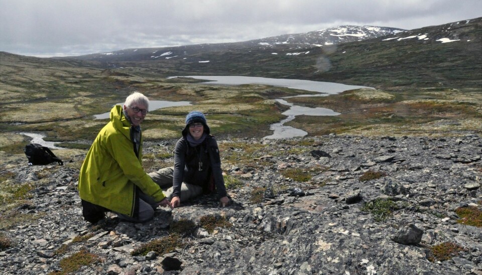 Forskerne Deta Gasser og Tor Grenne peker på grensen mellom det vulkanske og det sedimentære området i Trondheimsfeltet. Arbeidet handler om å få en bedre forståelse av geologien i malmrike områder i Trøndelag. (Foto: Gudmund Løvø, NGU)